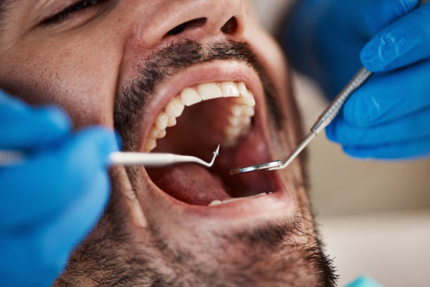Best Dentist Open Late Near Me  in Garland, UT